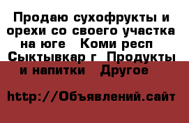 Продаю сухофрукты и орехи со своего участка на юге - Коми респ., Сыктывкар г. Продукты и напитки » Другое   